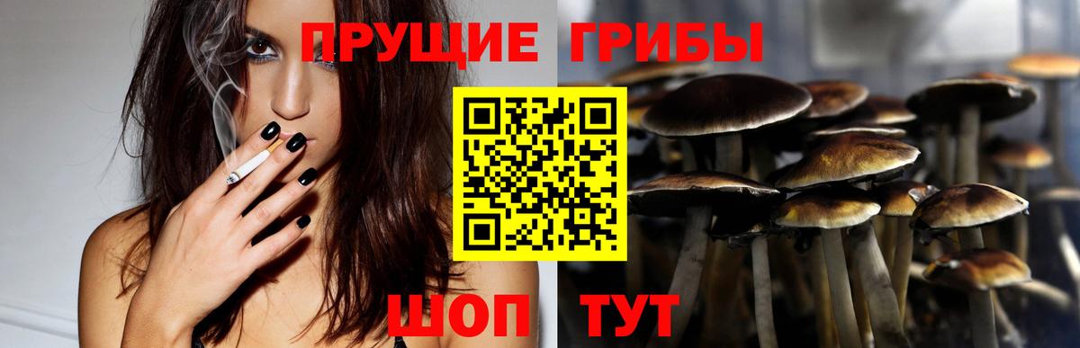 Псилоцибиновые грибы Psilocybine cubensis  дарнет шоп  Усть-Лабинск  Вход с VPN 